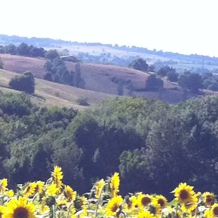 Konukevi D'escane Escanecrabe