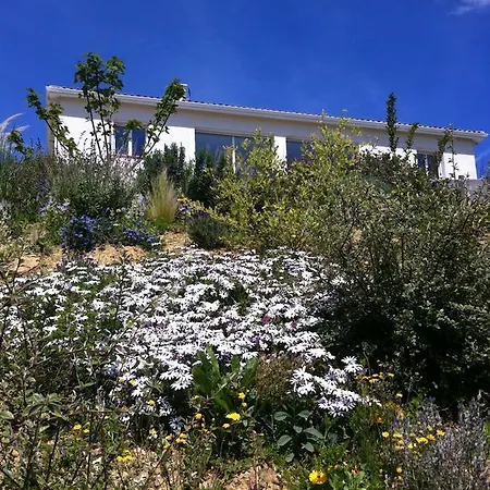 D'escane Escanecrabe