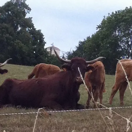 Konukevi D'escane Escanecrabe