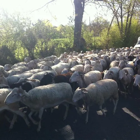 بيت ضيافة D'escane Escanecrabe