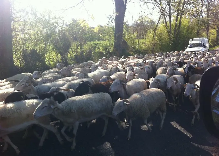 בית הארחה D'escane Escanecrabe